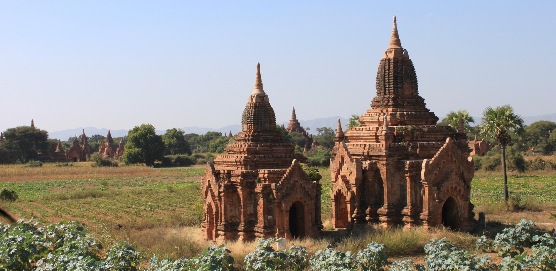 Visite guidée du vieux Bagan