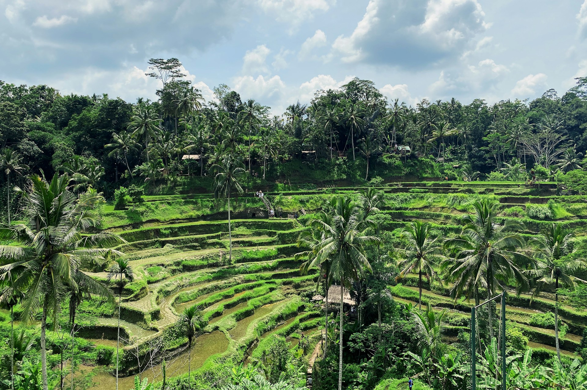 Ubud, Bali