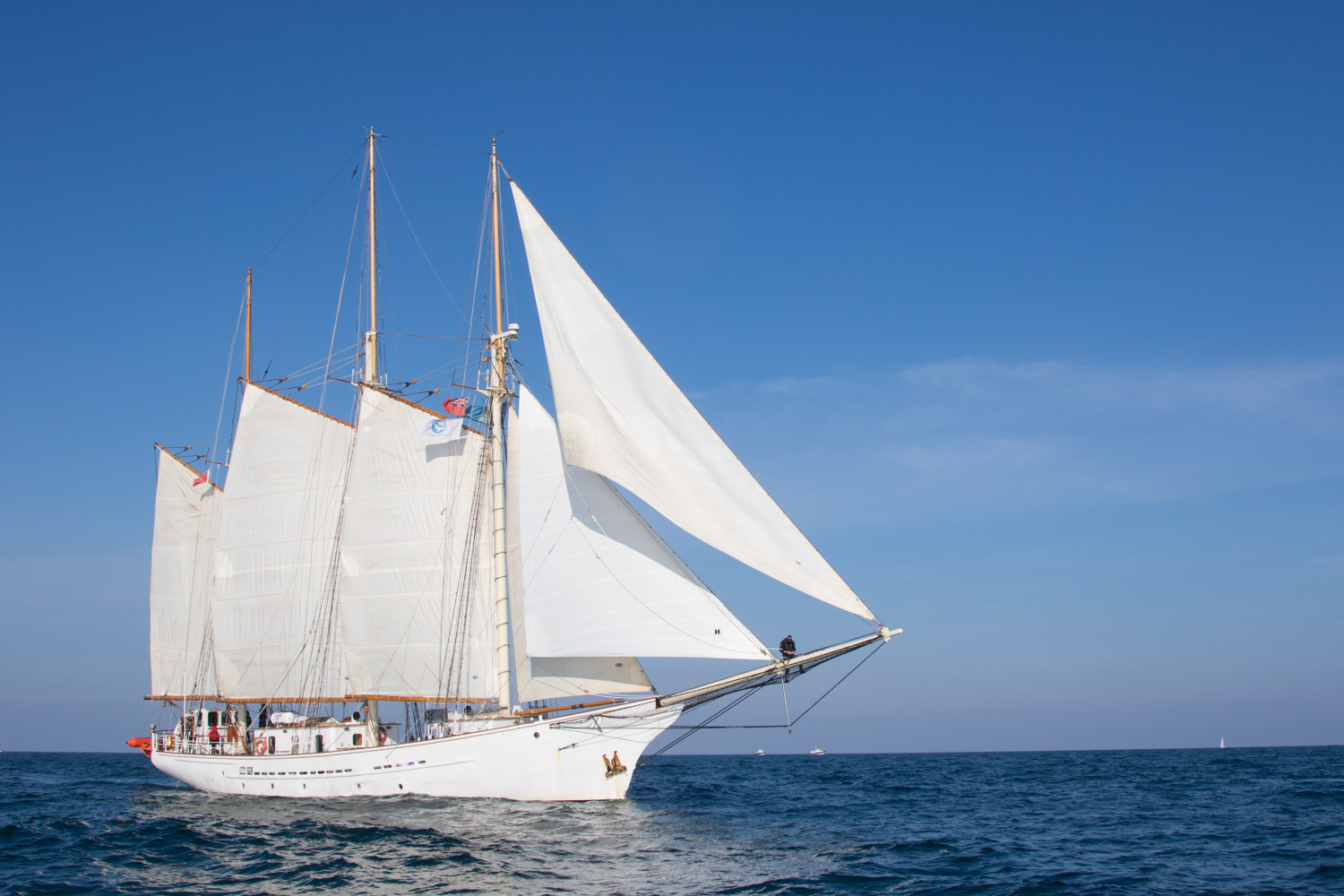 Blue Clipper - Goélette