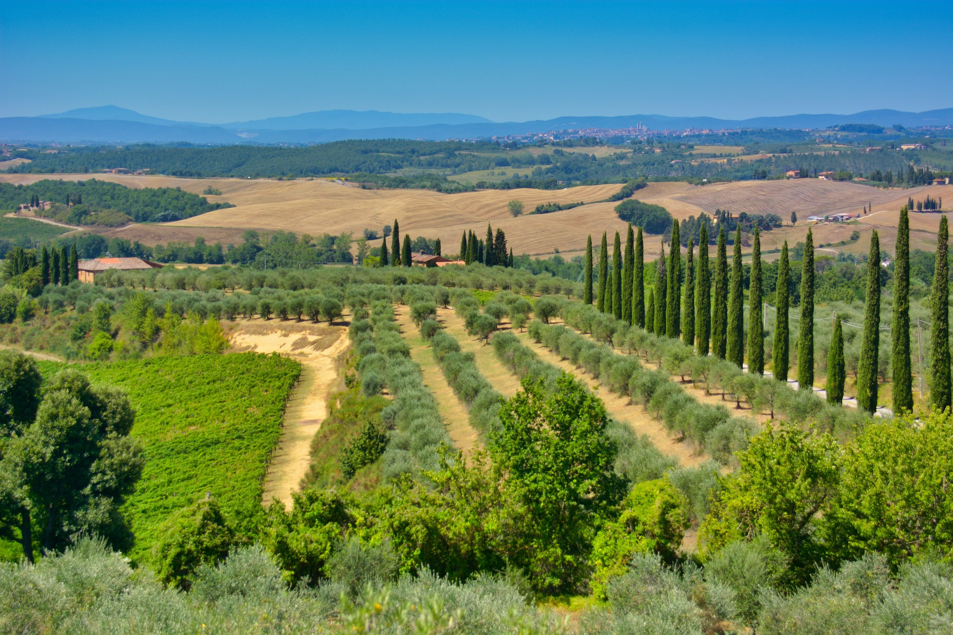 Guide chasse truffe Toscane