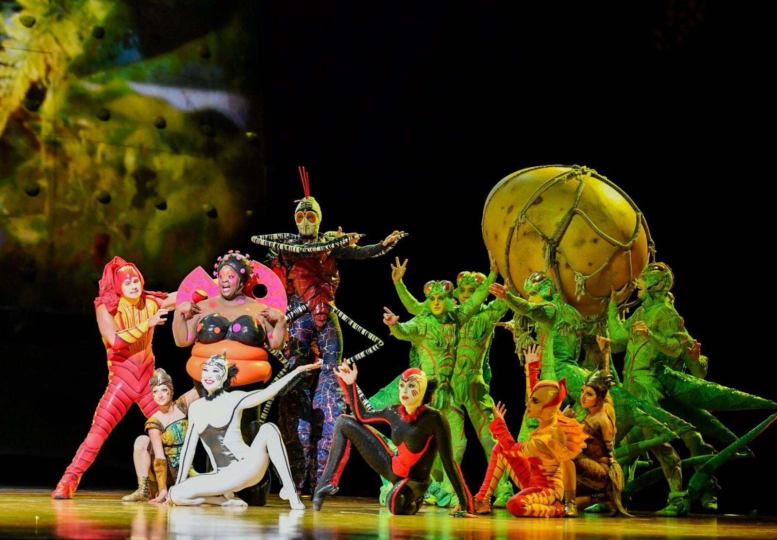 Cirque du Soleil