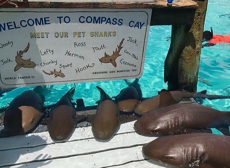 Compass Cay
