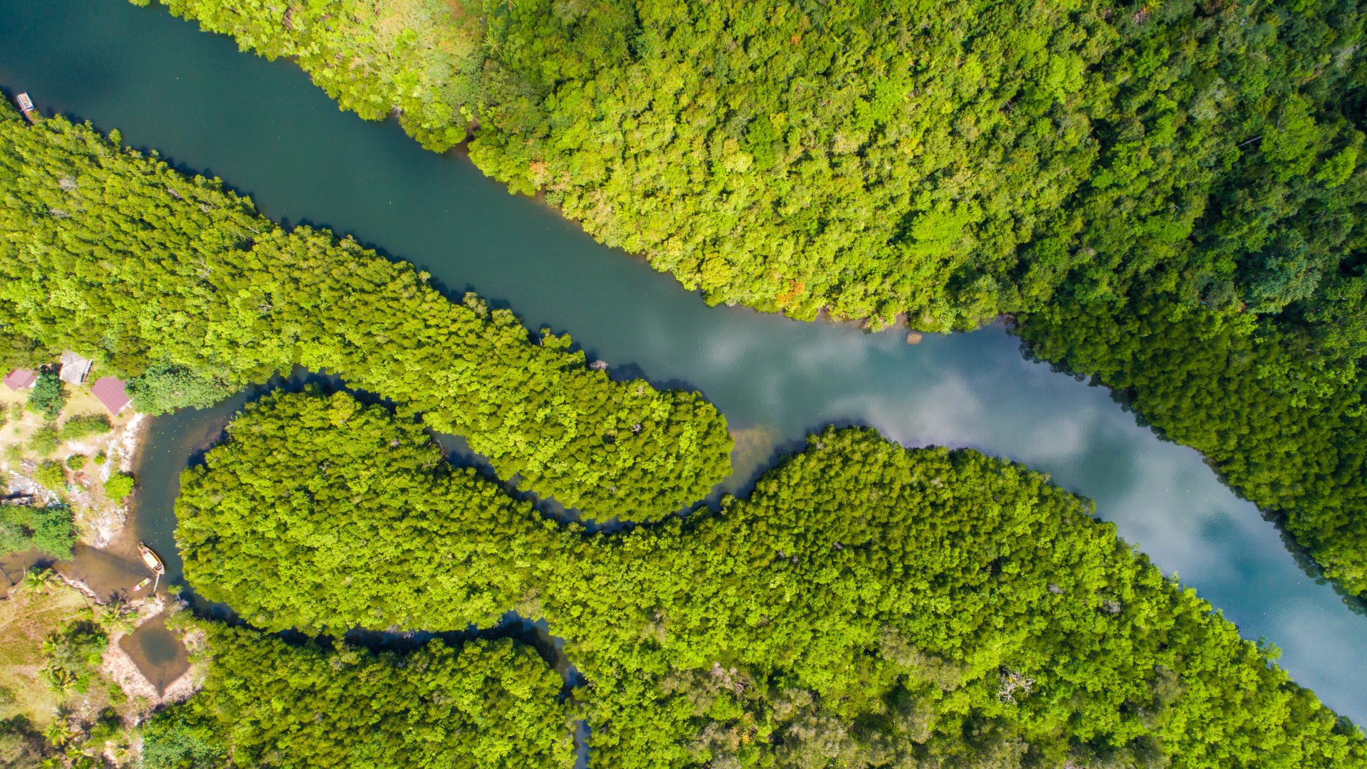 Équateur Amazonie