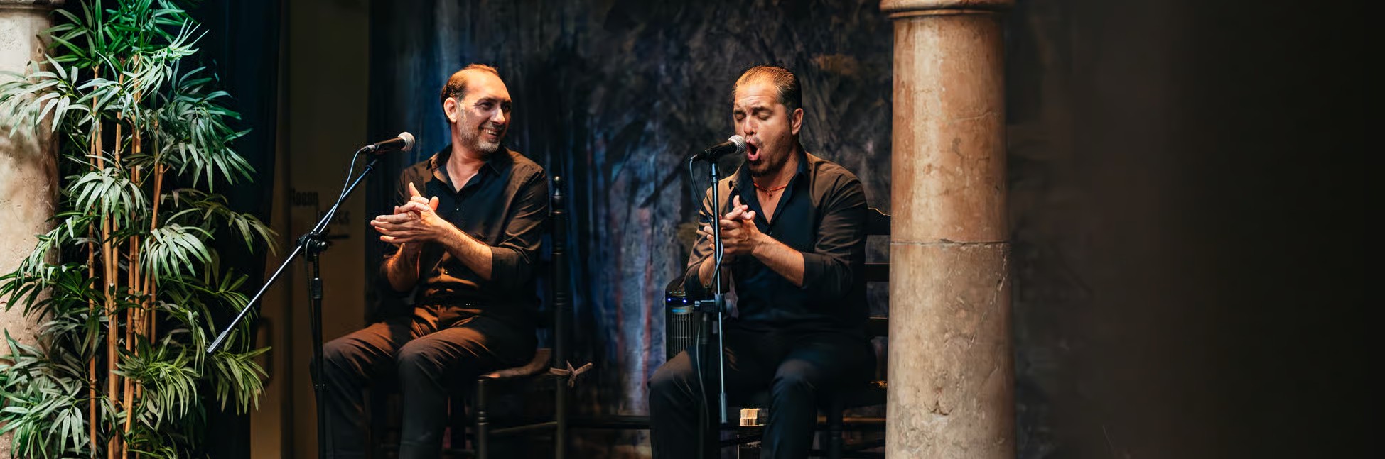 Flamenco Puro avec Musée