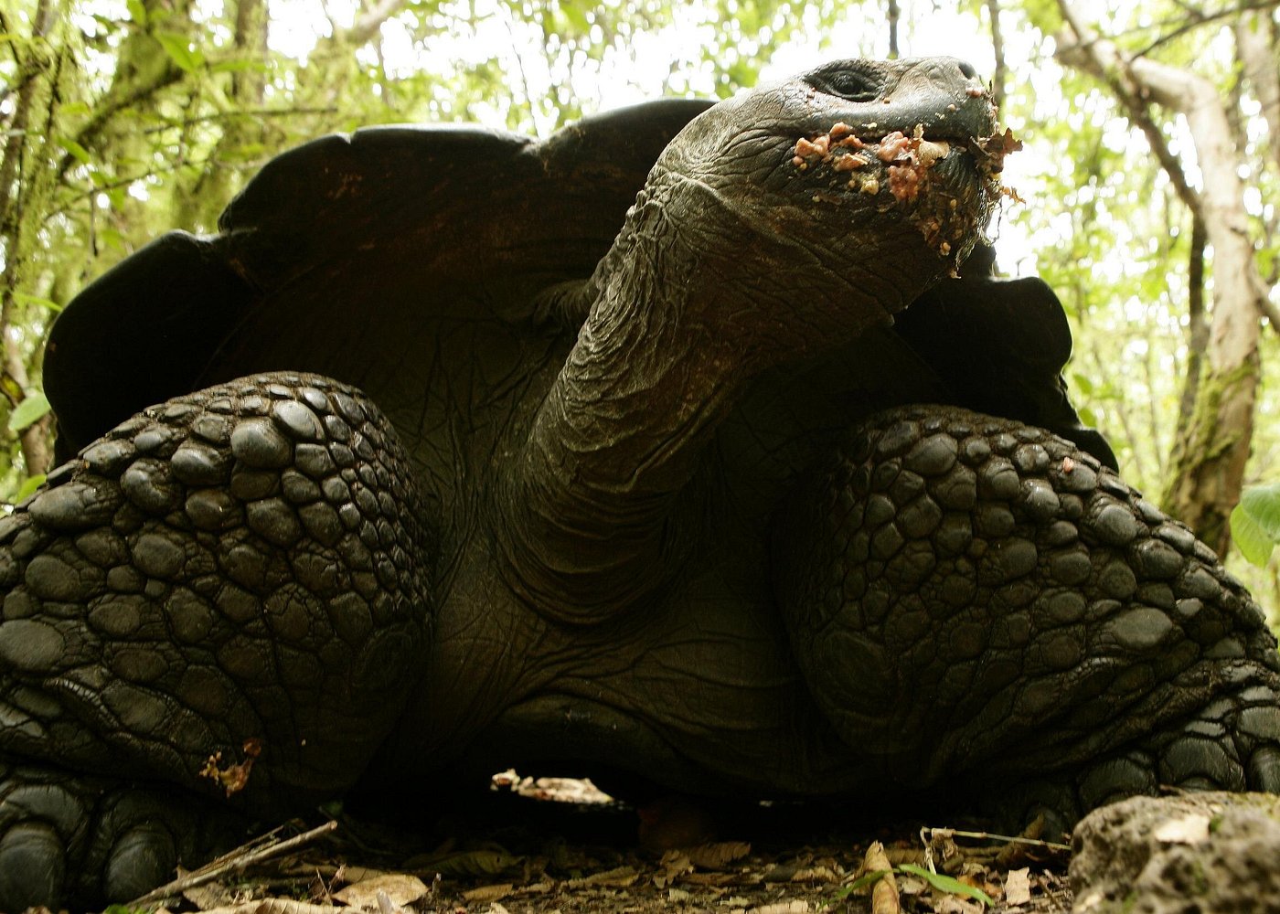 Galápagos Intensif 5 jours 3 îles
