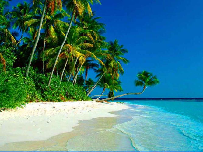 Goa plages spirituelles