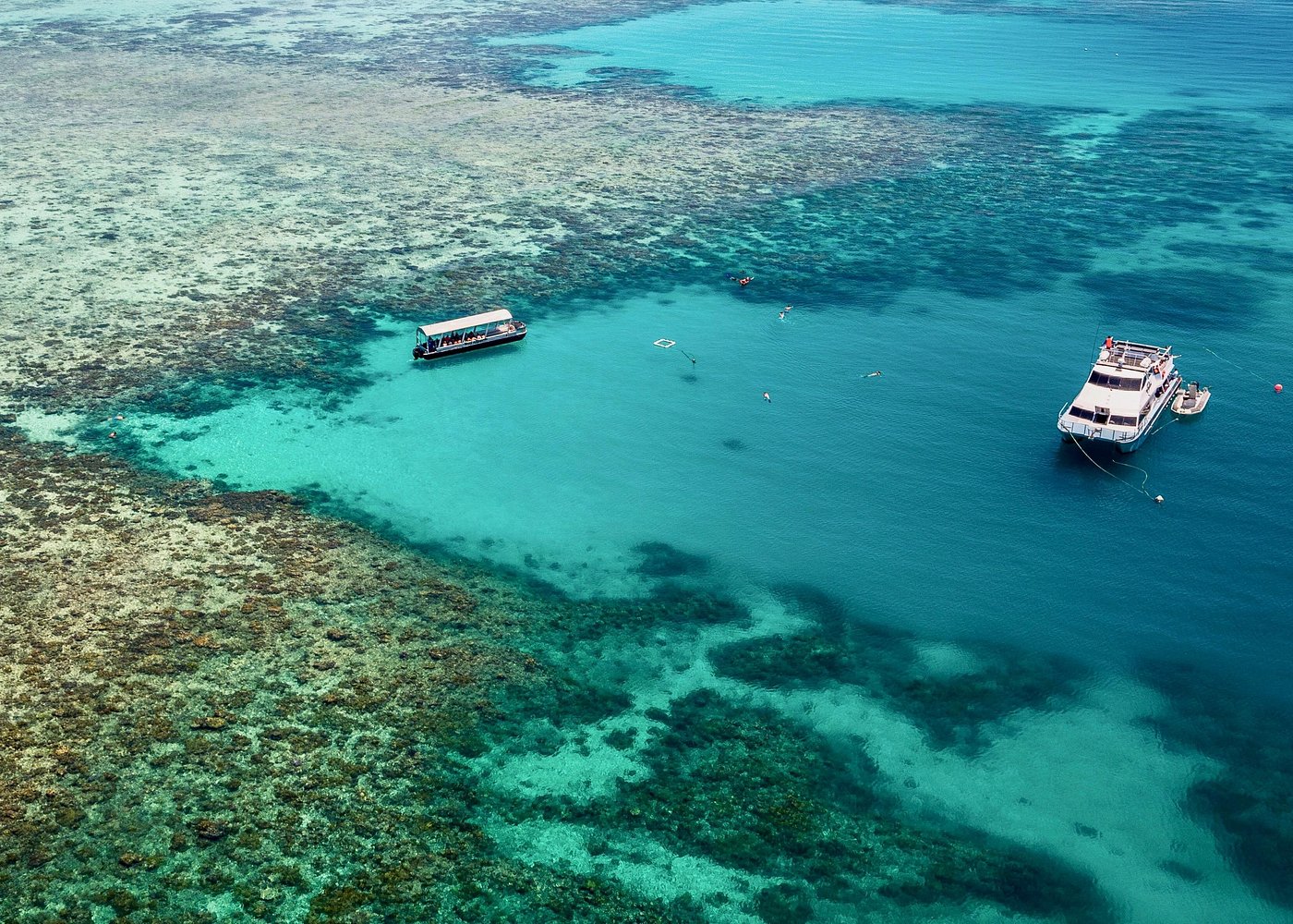 Grande Barrière Luxe Snorkel Dive Cairns