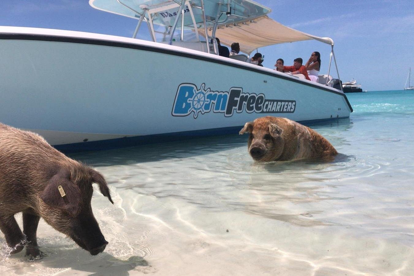 Îles Exuma déjeuner