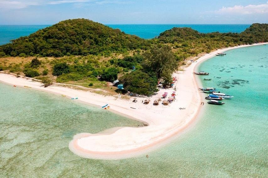 Pig Island Tour Koh Samui