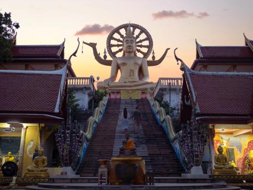 Culture temples