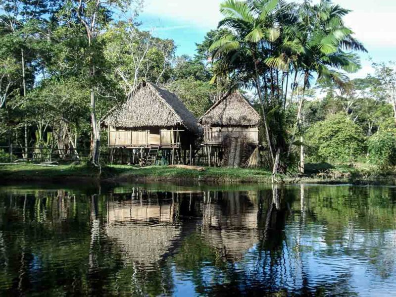 Manaus Brésil