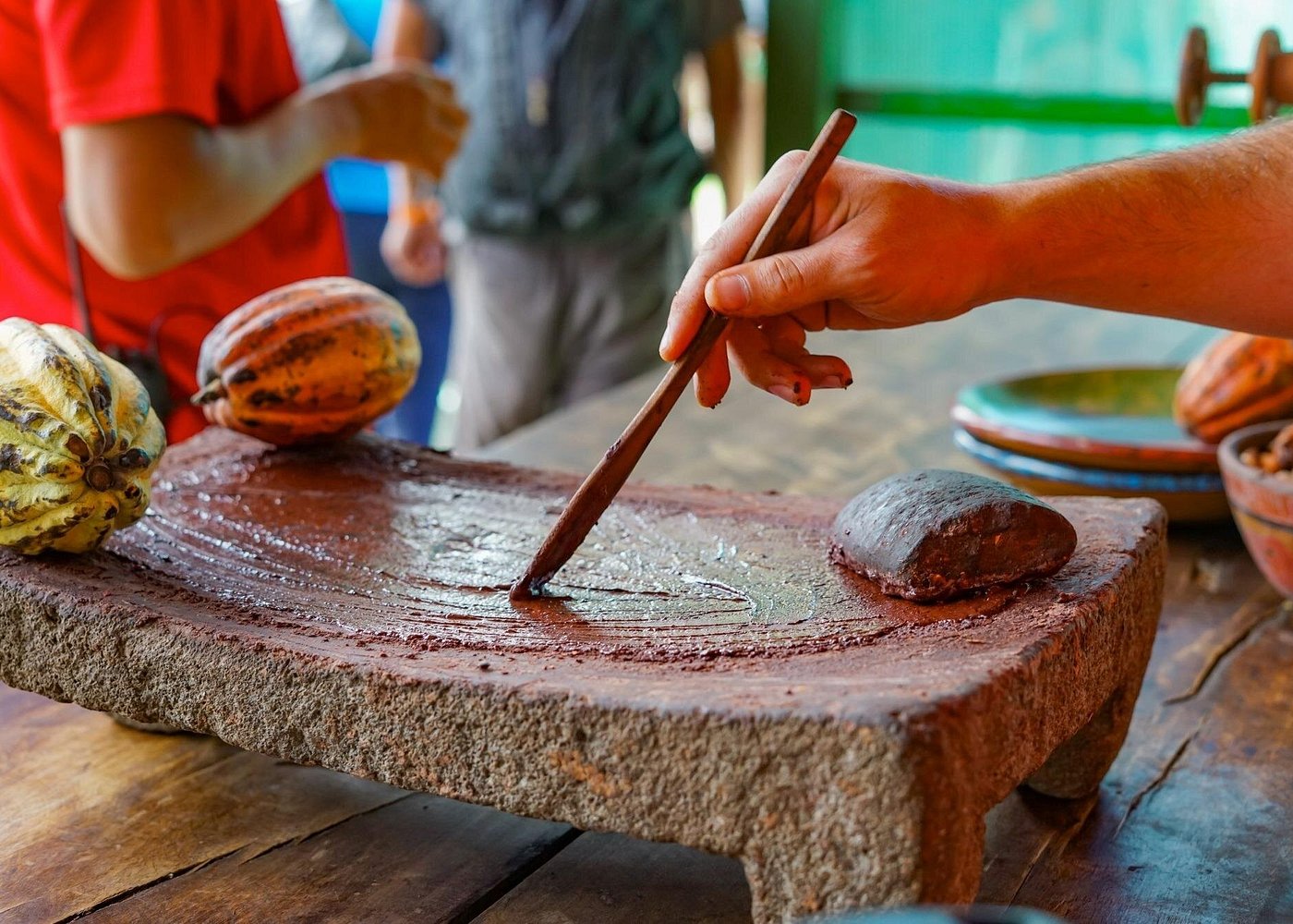 Tour café chocolat Monteverde