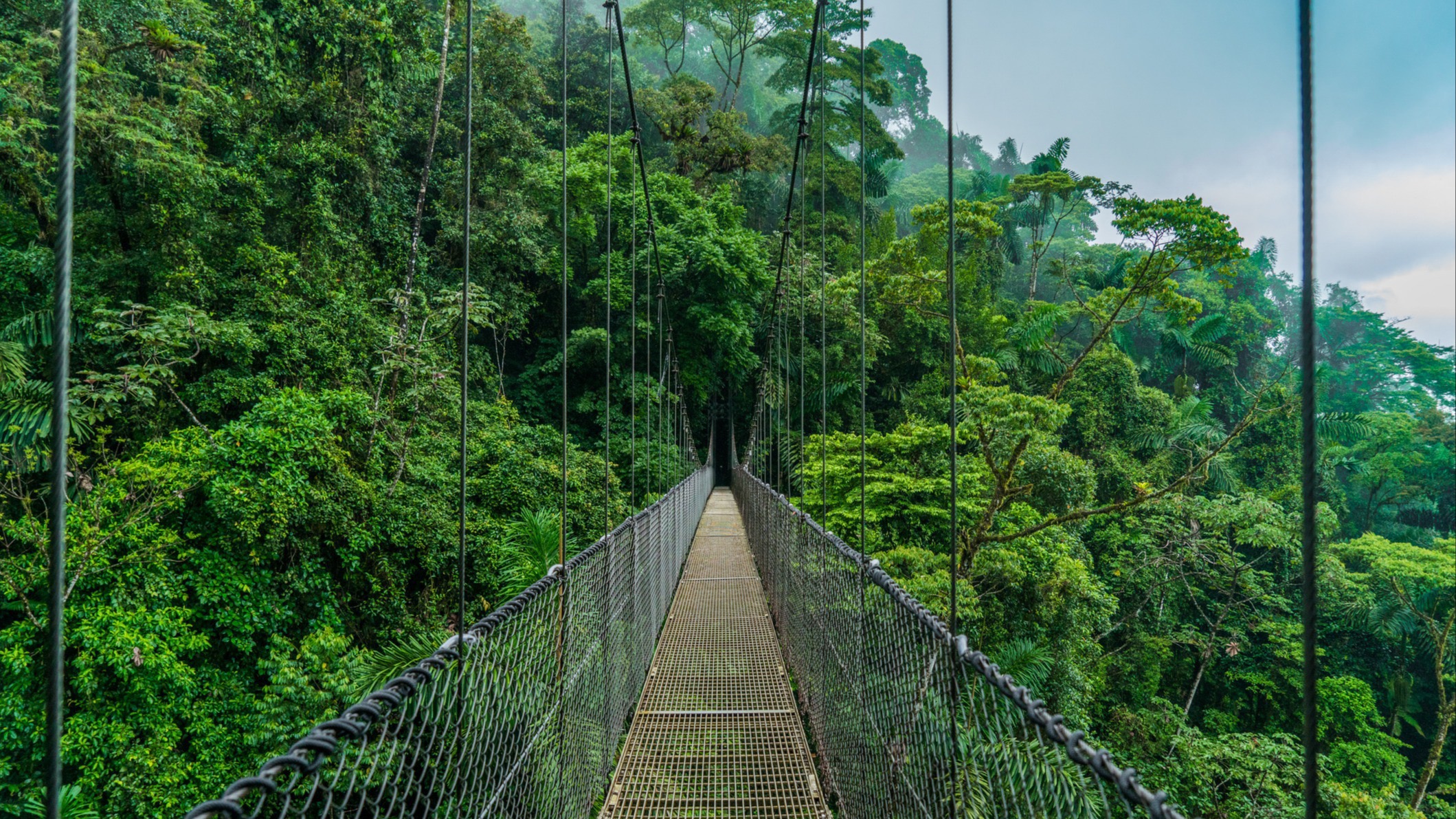 Monteverde