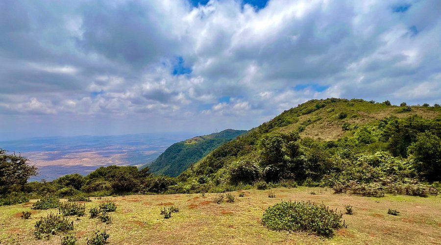 Village Ngong Hills