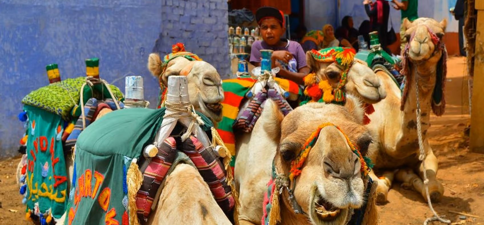 Village nubien balade chameau Assouan