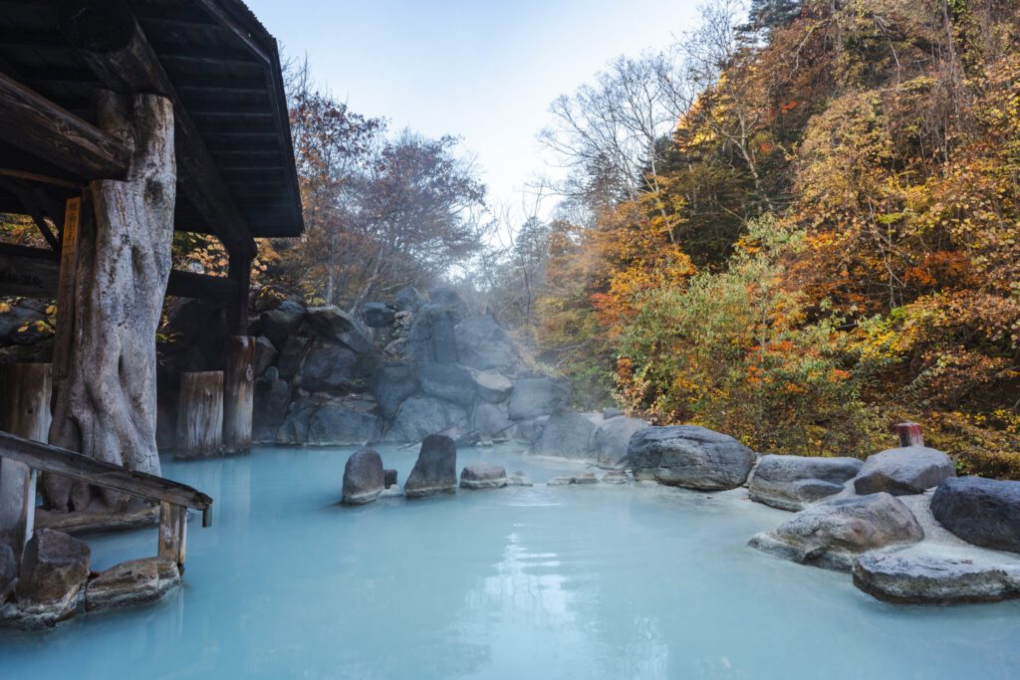 Bains thermaux japonais