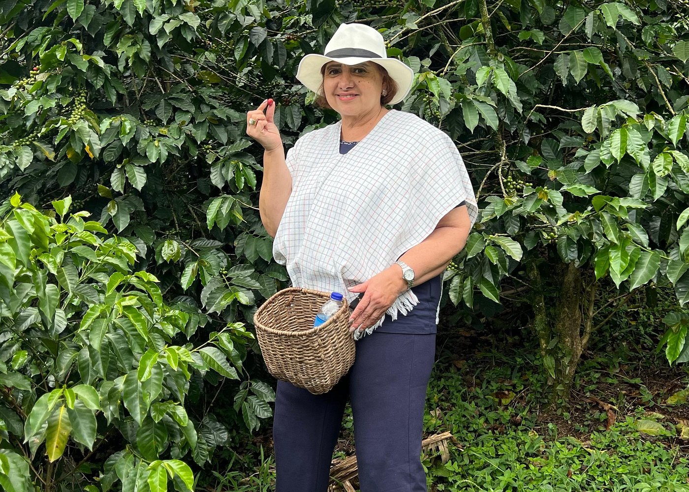 Plantation café Medellín colibris