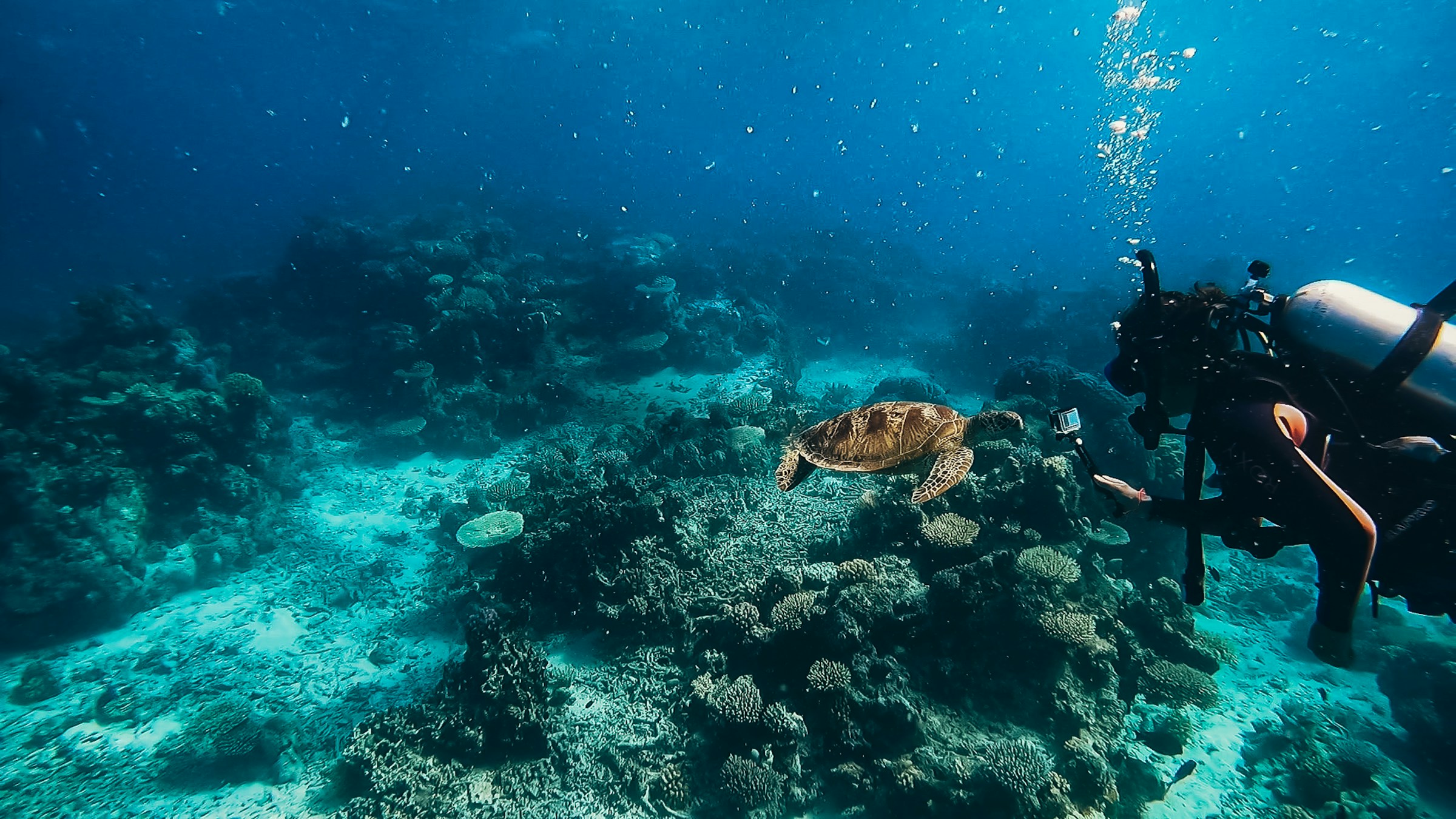 Guide débuter la plongée