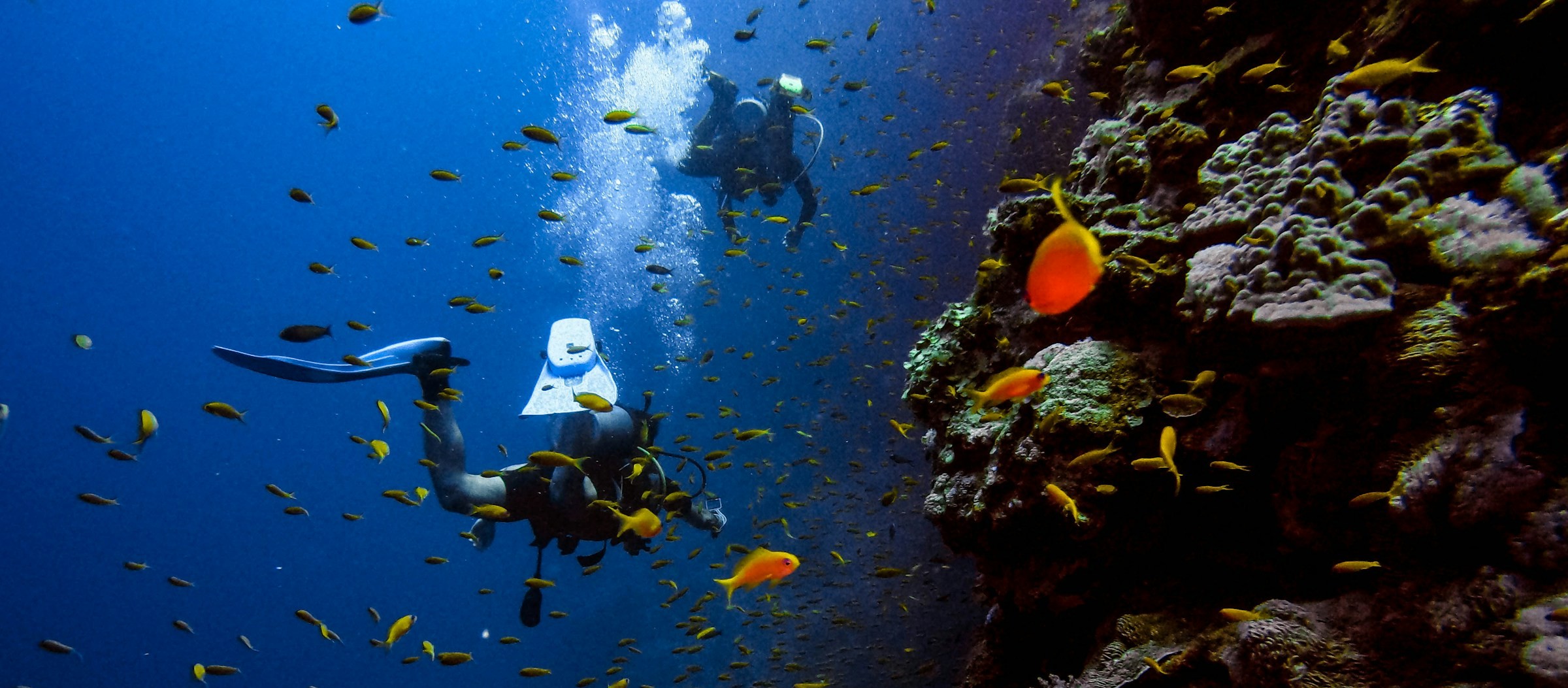 Plongée sous-marine