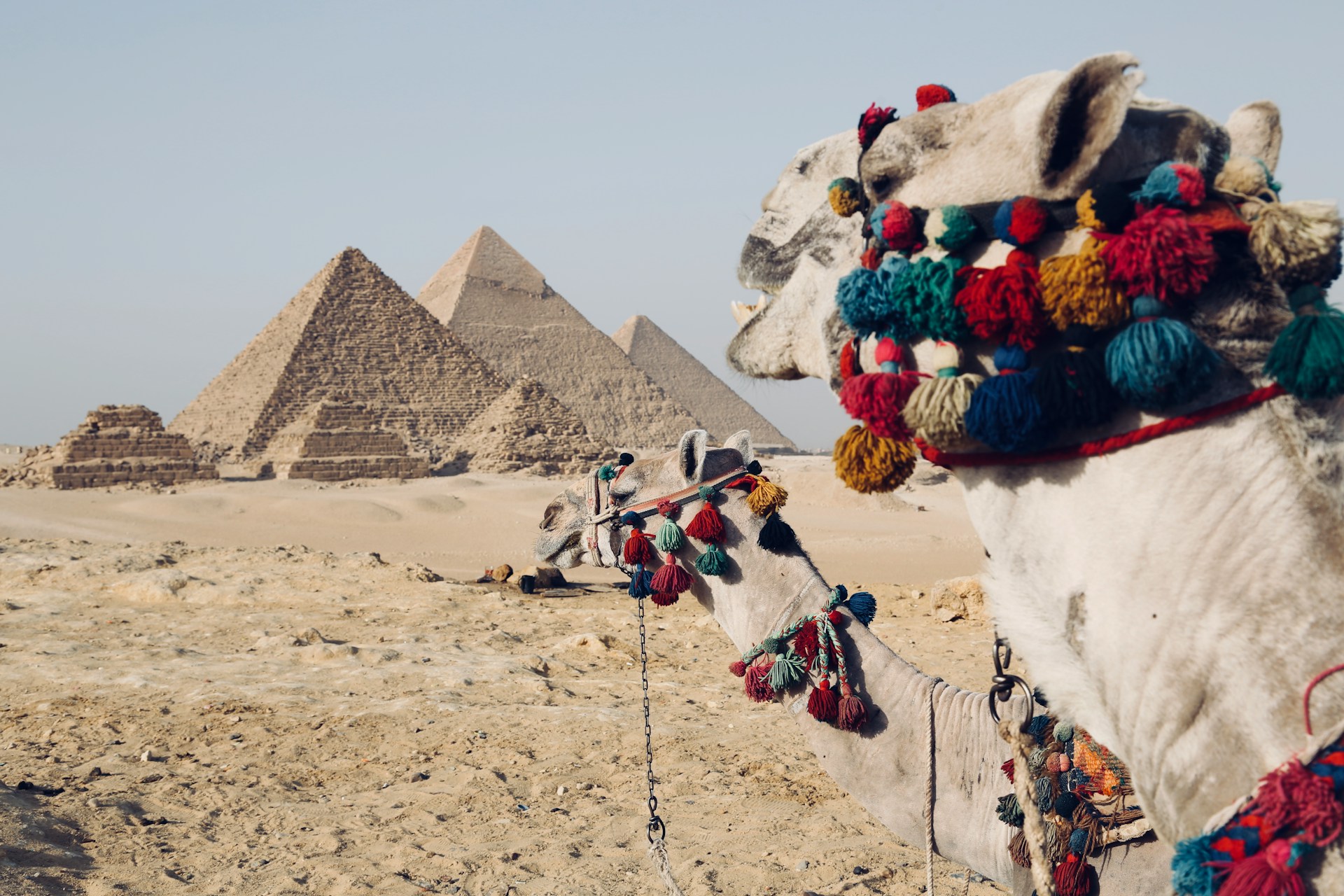 Pyramides de Gizeh