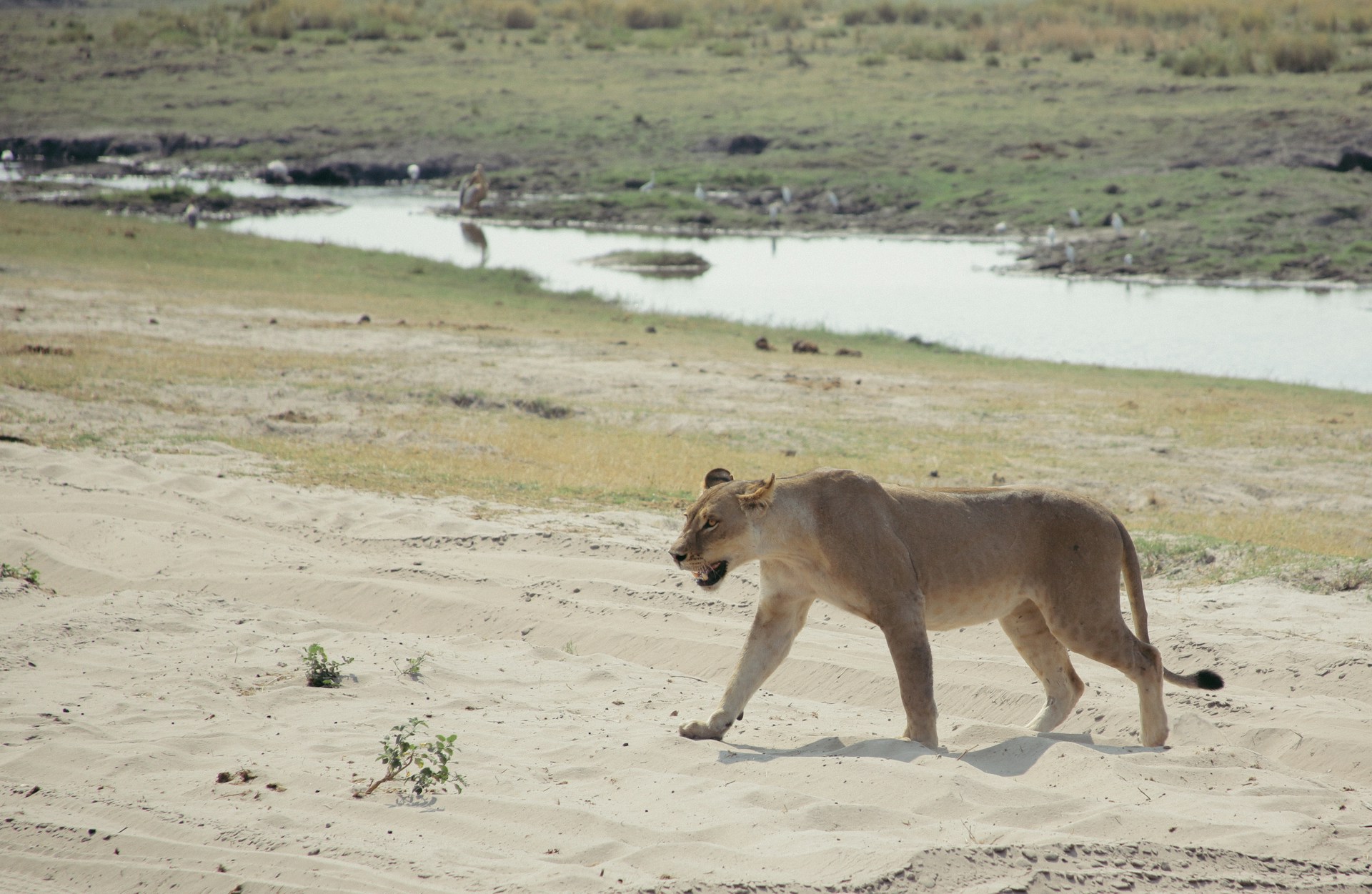 Botswana