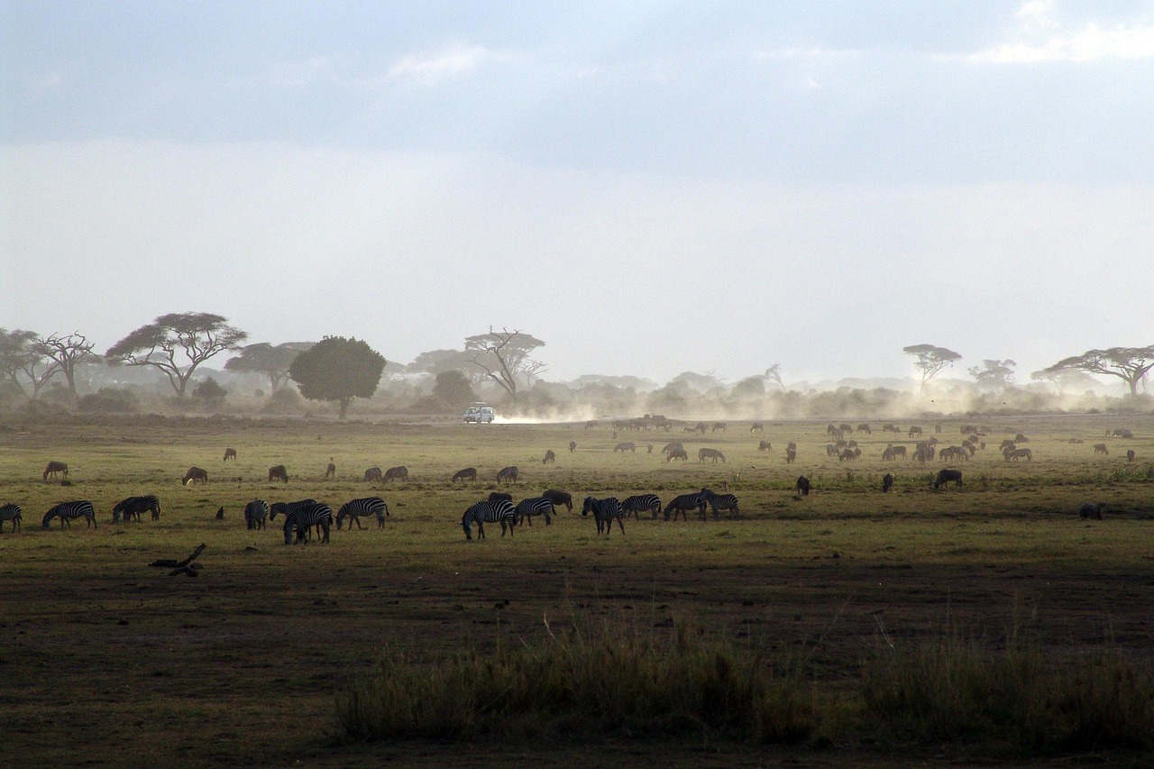 Kenya