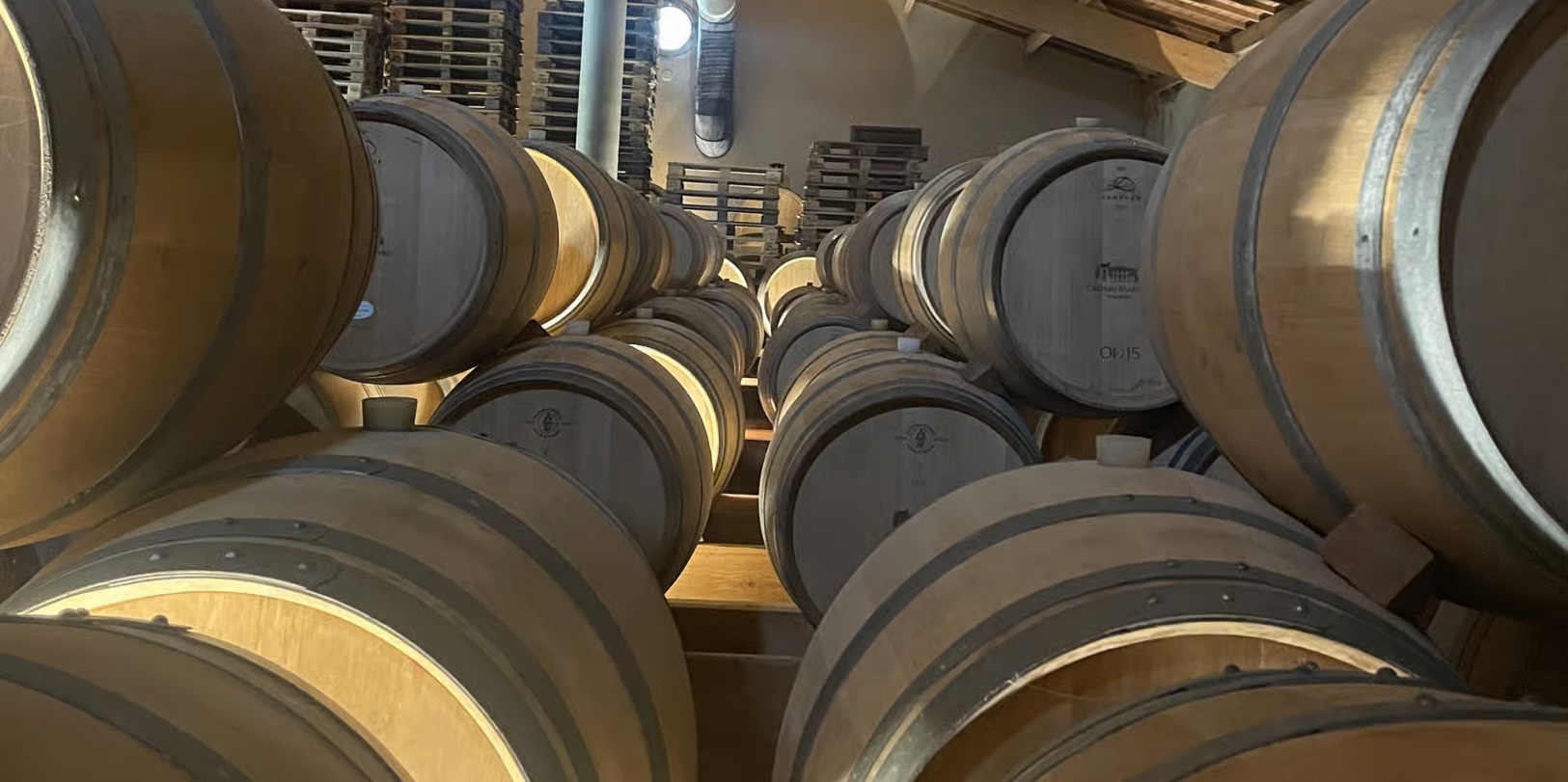 Tour Saint-Émilion avec pique-nique
