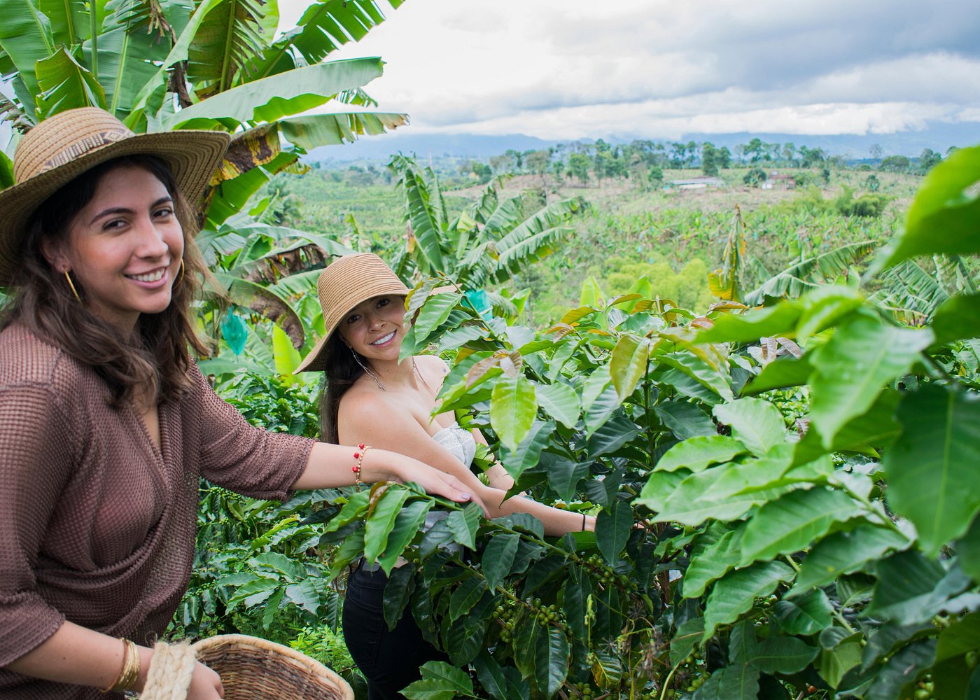 Salento specialty coffee tour