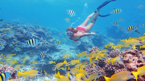 Snorkeling Seychelles