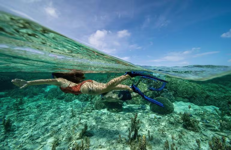 Snorkeling demi-journée