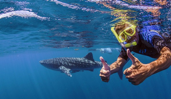 Snorkeling