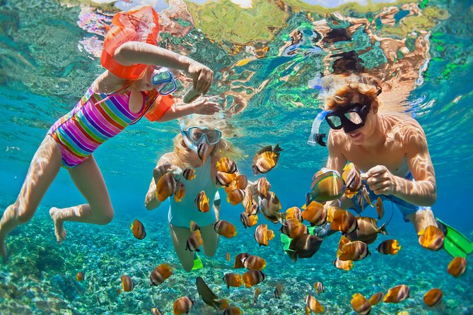 Snorkeling journée complète