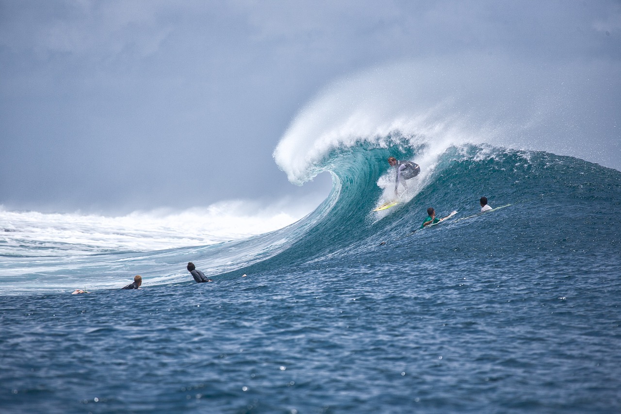 Surf sur vagues géantes