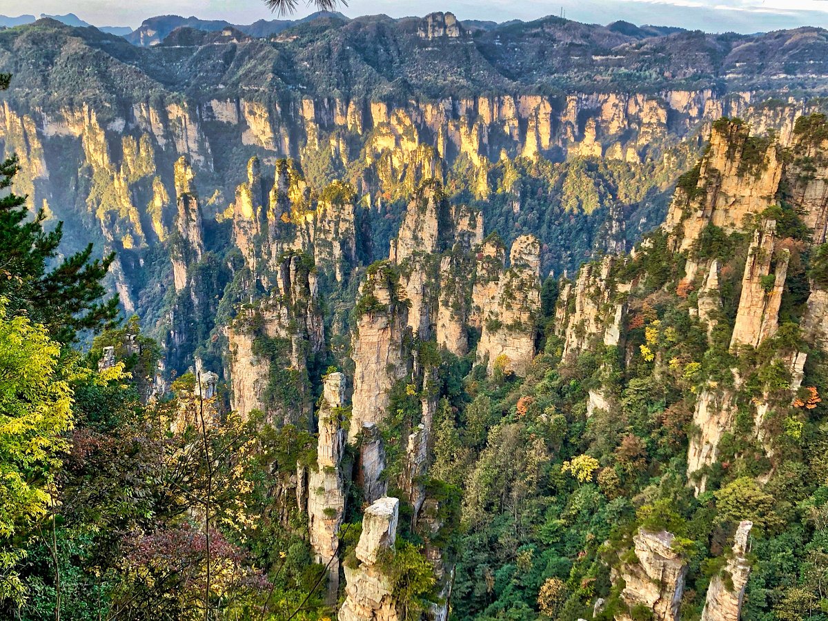 Tianzi Mountain plateforme