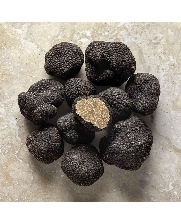 Truffe d'été Toscane