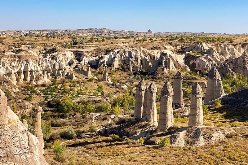 Vallée des Moines cheminées