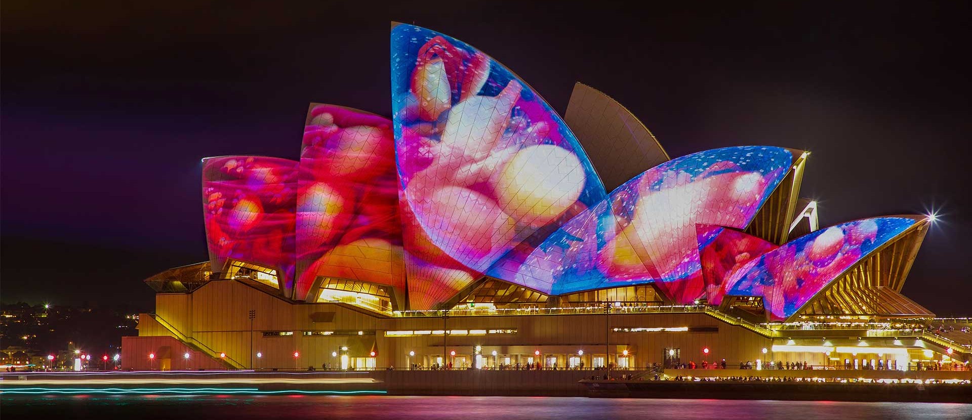 Croisière Vivid Sydney